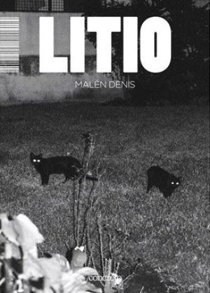 Libros para leer en cuarentena: litio, malén denis